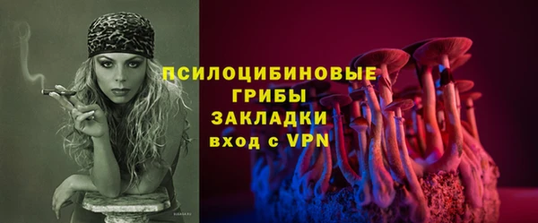 гашик Алексин