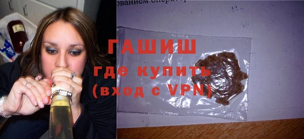 гашик Алексин